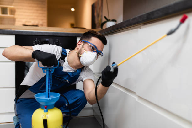 Best Termite Control Services  in Columbia City, IN