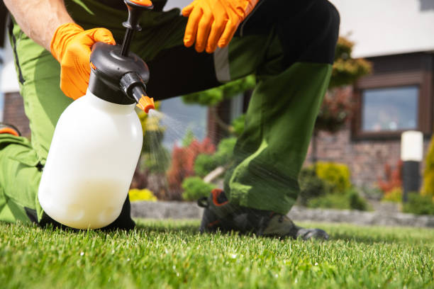 Best Insect Control  in Columbia City, IN