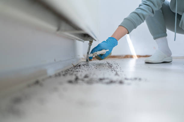 Best Best Pest Control Companies  in Columbia City, IN